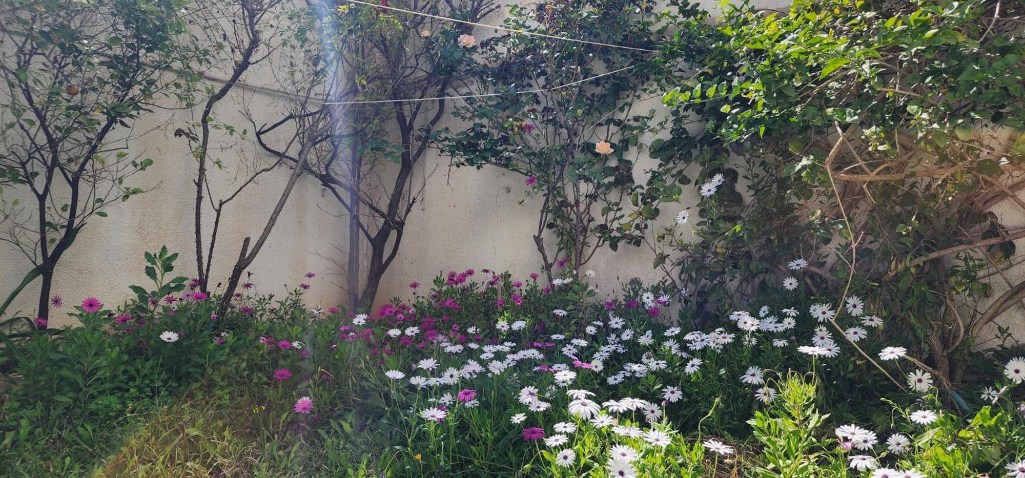 Duplex Bien Equipe Securise Avec Jardin Et Veranda Λα Μάρσα Εξωτερικό φωτογραφία