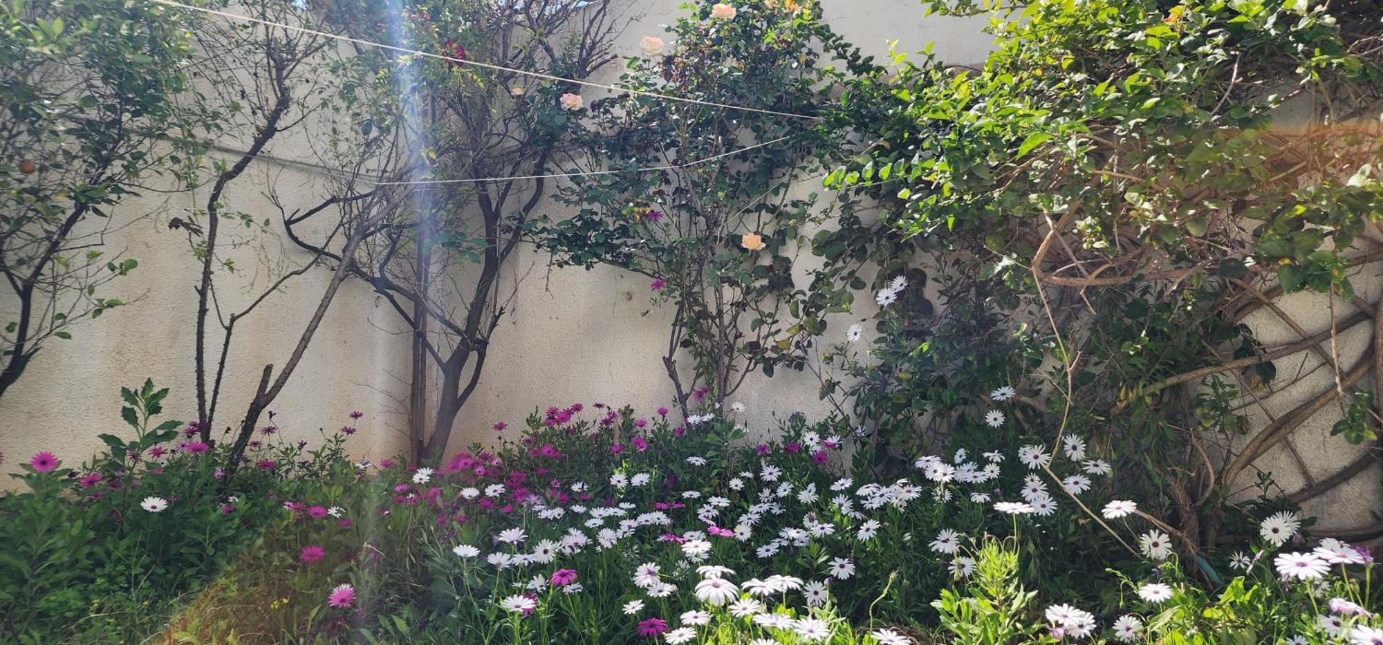 Duplex Bien Equipe Securise Avec Jardin Et Veranda Λα Μάρσα Εξωτερικό φωτογραφία