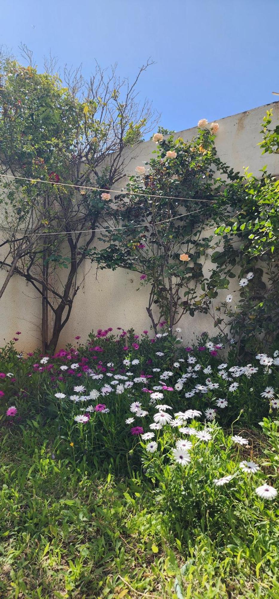 Duplex Bien Equipe Securise Avec Jardin Et Veranda Λα Μάρσα Εξωτερικό φωτογραφία